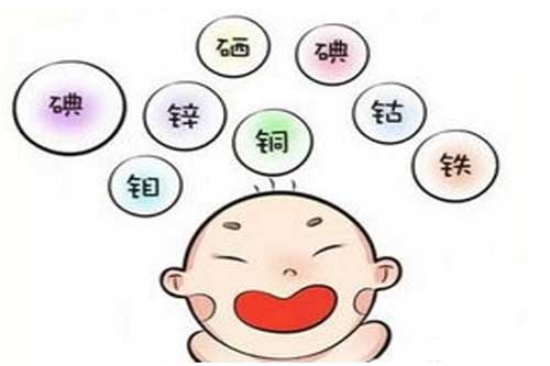 微量元素检测仪